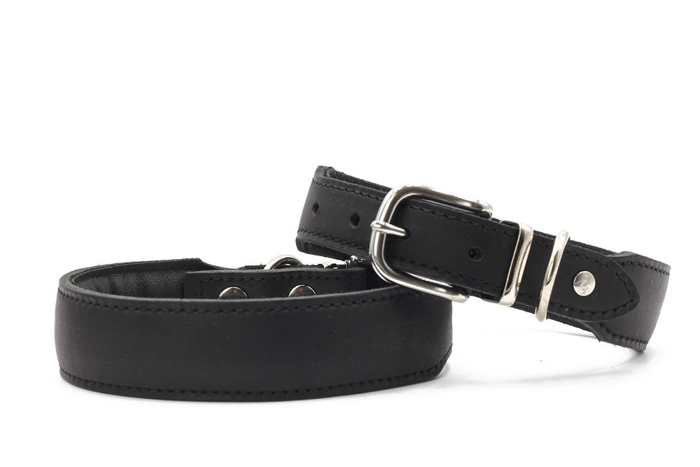 Schwarzes Lederhundehalsband in der Herbst Edition mit silberner Schnalle, präsentiert auf weißer Fläche.
