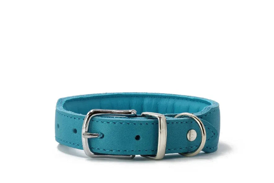 Gepolstertes hellblaues Hundehalsband aus Leder mit silberner Schnalle und D-Ring, elegant und komfortabel.