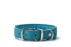 Gepolstertes hellblaues Hundehalsband aus Leder mit silberner Schnalle und D-Ring, elegant und komfortabel.