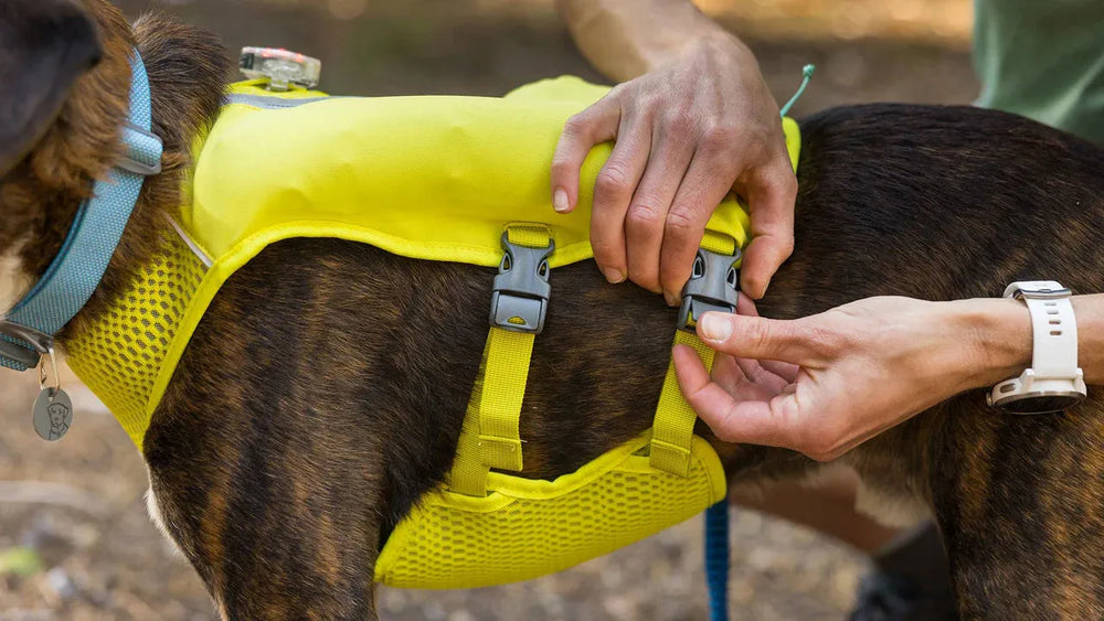 "Eine Person legt einem braunen Hund eine gelbe Trail Runner™ Hunde-Laufweste mit atmungsaktiver Mesh-Oberfläche an."
