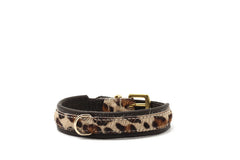 Halsband Mini Afrika für Hunde in Braun-Beige mit Leopardenmuster, goldfarbener Schnalle und D-Ring.