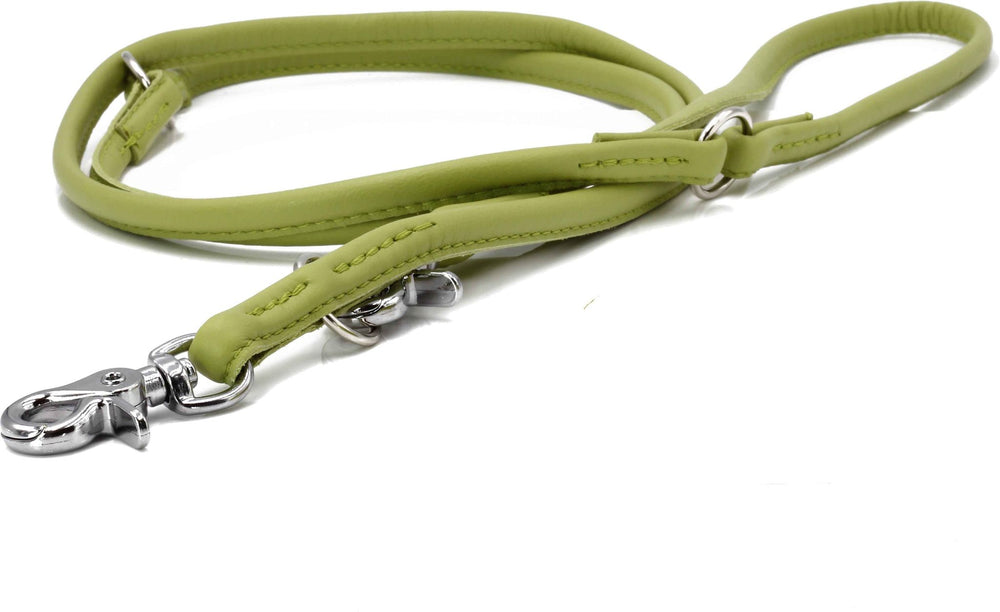 Elegante grüne Leder-Hundeleine mit Karabiner und hochwertiger Verarbeitung für stilbewusste Hundefreunde.