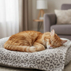 Schlafende orangefarbene Katze auf grauem Kissen mit Leoprint in hellem Wohnzimmer. Gemütliche Atmosphäre.