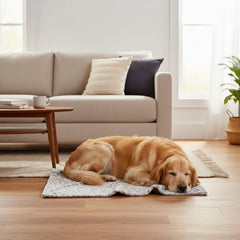 Golden Retriever schläft entspannt auf grauer Fleece Plaid "LORIK" in hellem Wohnraum mit Sofa und Pflanze.