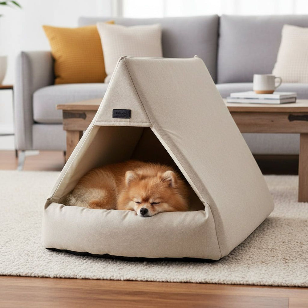Kleiner Hund schläft friedlich in einem beige-farbenen Hundebett, im Hintergrund ein graues Sofa und dekorative Kissen.
