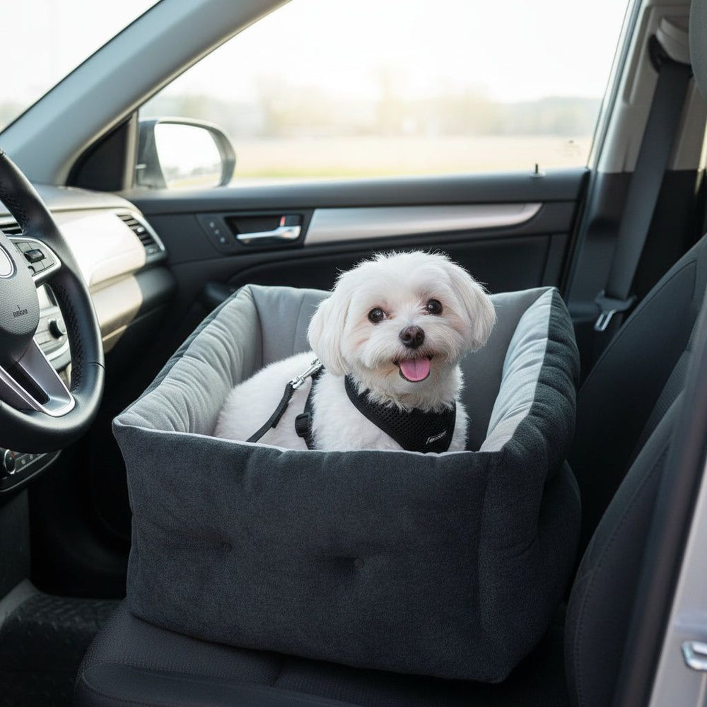 Kleiner, weißer Hund im grauen Autositz mit schwarzem Geschirr, aufmerksam in die Kamera schauend.