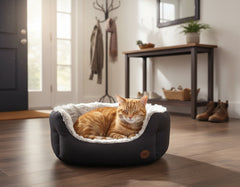 Gemütliche ovale Katzenliege "CACHO" mit orangefarbener Katze in modernem Wohnraum. Weiches Innenfutter sorgt für Komfort.