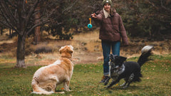 Frau in Wintermantel wirft Spielzeugring zu Labrador-Hund im Schnee, fröhliche Wintermomente mit Tieren.