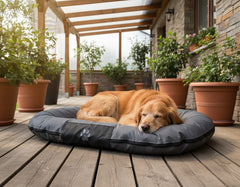 Schlafender goldfarbener Hund auf grauem Kissen "RENO" auf Holzterrasse mit Topfpflanzen und viel Licht.