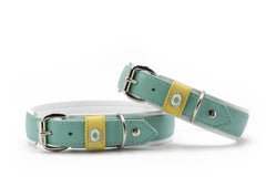 Zwei mintgrüne Hundehalsbänder mit gelben und silbernen Verzierungen für optimale Anpassung und Strapazierfähigkeit.
