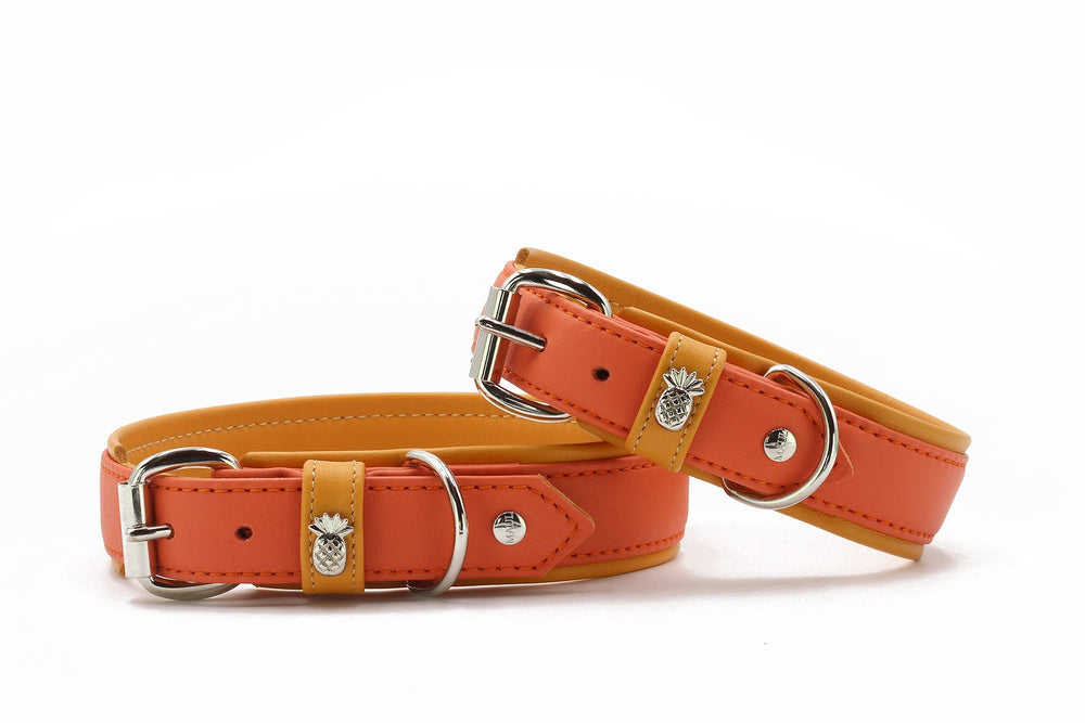 Farbenfrohe Hundehalsbänder aus Leder in orange-gelb mit Metallverschlüssen und Ananas-Verzierungen.