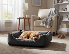 Kleiner, lockiger brauner Hund entspannt in grauem Komfortbett "Purus" in einem gemütlichen Raum.