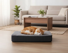 Schlafende orangefarbene Katze auf grauem Katzenbett in hellem Wohnzimmer mit Sofa und Pflanze.