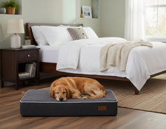 Hund schläft auf orthopädischer Matte "OSSO" in gemütlichem Schlafzimmer mit Bett und Holztisch.