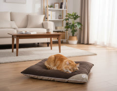 Eckiges Komfortkissen "SAMA" in Braun mit hellem Rand, belebt den gemütlichen Wohnraum mit beige Sofa und Teppich.