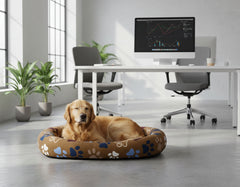 Golden Retriever entspannt in Hundebett "Lissi" in modernem Büro mit Pflanzen und Computer im Hintergrund.