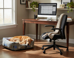 Gemütliches Zimmer mit Schreibtisch, Computer, Hundebett und schlafendem Hund neben dem Komfortbett "Lissi".