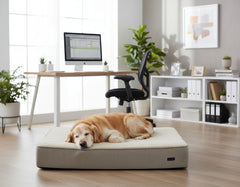 Hund entspannt auf der orthopädischen, eckigen Matte "CALBU" in einem modernen Büro mit Tageslicht.