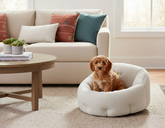 Kleiner Hund im ovalen Komfortbett "Puppy" in einem gemütlichen Wohnzimmer mit beigem Sofa und runden Tisch.
