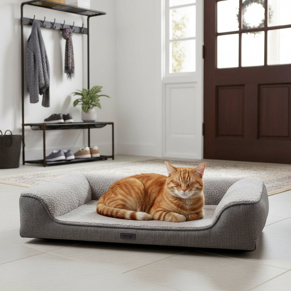 "Entspannte orangefarbene Katze auf grauem Katzenbett im Eingangsbereich mit Garderobe und Pflanzen."