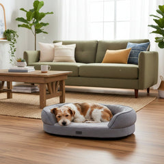 Kleiner Hund mit braun-weißen Fell schläft entspannt im grauen Komfortbett oval "AMCA" in einem gemütlichen Wohnzimmer.