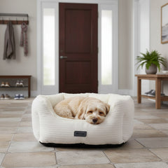 Kleiner hellbrauner Hund entspannt in ovalem Komfortbett "KAMBA" mit gestreiftem, weichem Material und hoher Kante.