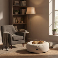 Katzenbett Kamba im Wohnzimmer mit grauem Sessel, Stehlampe und Bücherregal, gemüdliche Atmosphäre.