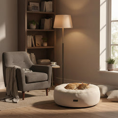 Katzenbett Kamba im Wohnzimmer mit grauem Sessel, Stehlampe und Bücherregal, gemüdliche Atmosphäre.