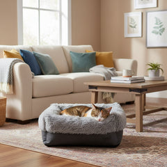 Gemütliches Wohnzimmer mit hellem Sofa, dekorativen Kissen und einem komfortablen, grauen Katzenbett in der Mitte.