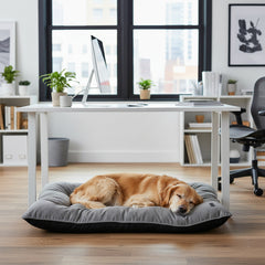 Hund liegt entspannt auf grauer Komfortmatte "BONE" in modernem Arbeitsplatz mit Tageslicht und Pflanzen.