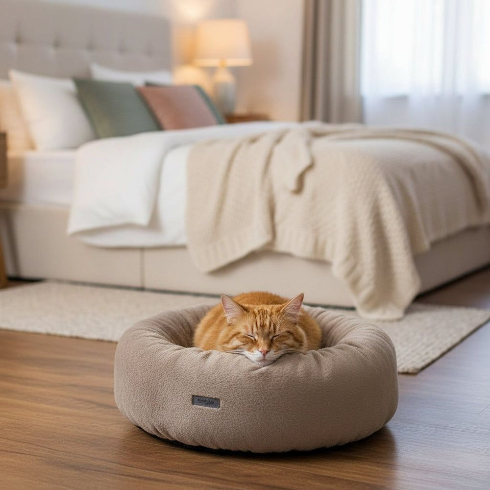 Gemütliches Schlafzimmer mit Komfortbett Donut "ZARIF" und entspannter orangefarbener Katze in einem runden Tierbett.