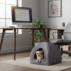 "Hund TIANA im eckigen Hundehäuschen in modernem Wohnraum mit Schreibtisch und Computer."