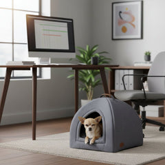 "Hund TIANA im eckigen Hundehäuschen in modernem Wohnraum mit Schreibtisch und Computer."