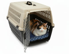 Beige und schwarze Transportbox für Katzen aus Kunststoff mit Belüftung und metallener Tür, darin eine entspannte Katze.