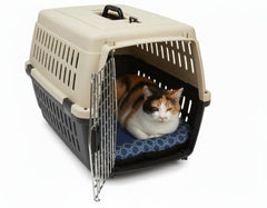 Beige und schwarze Transportbox für Katzen aus Kunststoff mit Belüftung und metallener Tür, darin eine entspannte Katze.