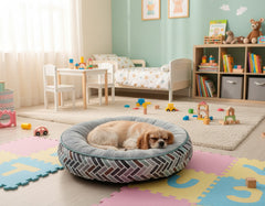 Ein schlafender Hund auf einem runden gepolsterten Hundebett in einem kinderfreundlichen Raum.