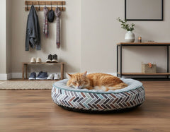Gemütliche Innenszenerie mit schlafendem orangefarbenen Kater auf Katzenbett, einfach und modern dekoriert.