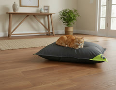 Orangefarbener Kater entspannt auf grauem Komfortkissen mit grüner Ecke und Pfotenmotiven in gemütlichem Raum.