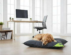 Hund schläft gemütlich auf schwarzem Komfortkissen "Reno" in hell erleuchtetem Büro mit Schreibtisch und Computer.