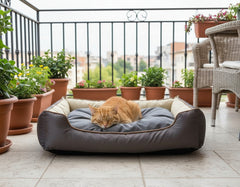 Gemütliches Katzenschlafplatz "Asja" auf Balkon, umgeben von blühenden Pflanzen und Stadtlandschaft, orangefarbene Katze liegt entspannt.
