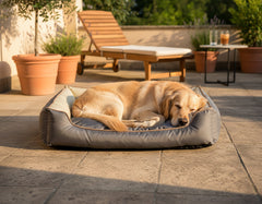 Golden Labrador liegt entspannt auf dem grauen Komfortbett "Asja" in heller, freundlicher Umgebung mit Pflanzen.