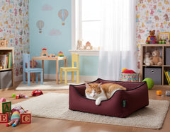 Gemütliche Wohnung mit orangefarbenem Kater im burgunderroten Katzenbett vor bunten, kindgerechten Wänden.