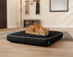 Schlafende orangefarbene Katze auf schwarzem Katzenkissen mit weißer Kante in modernem, minimalistischem Raum.