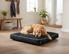 Schlafender Golden Retriever auf einem schwarzen Hundekissen in hellem Raum mit Holzfußboden und Pflanzen.