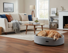 Gemütlicher Raum mit Komfortbett Jasin, Hund im grauen Bett auf dem Teppich und Tageslicht durch das Fenster.