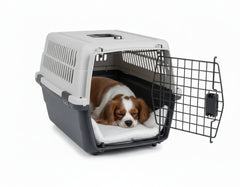 Schlafender Hund in einer grauen und schwarzen Hundebox mit Lüftungsöffnung und offener Drahtgittertür.