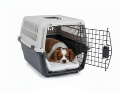 Schlafender Hund in einer grauen und schwarzen Hundebox mit Lüftungsöffnung und offener Drahtgittertür.