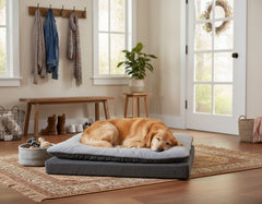 Hund schläft entspannend auf grauer Komfortmatte Vara in einem hellen Raum mit Holzfußboden.