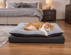 Ein orange-weißer Kater schläft auf einer gefalteten Kuscheldecke in einem gemütlichen Schlafzimmer.