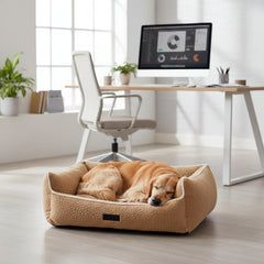 Golden Retriever schläft im beigen Komfortbett Cloudy, im modernen Arbeitszimmer mit Schreibtisch und großen Fenstern.